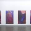 exhibition image