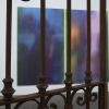 exhibition image