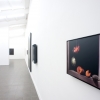 exhibition image