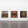 exhibition image