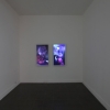 exhibition image