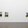 exhibition image