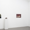 exhibition image