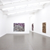 exhibition image
