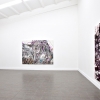 exhibition image