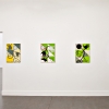 exhibition image