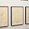 exhibition image