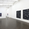 exhibition image