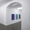 exhibition image
