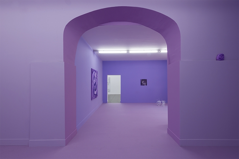 exhibition image
