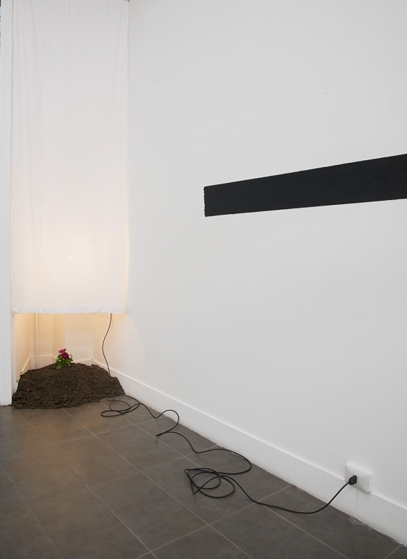 exhibition image