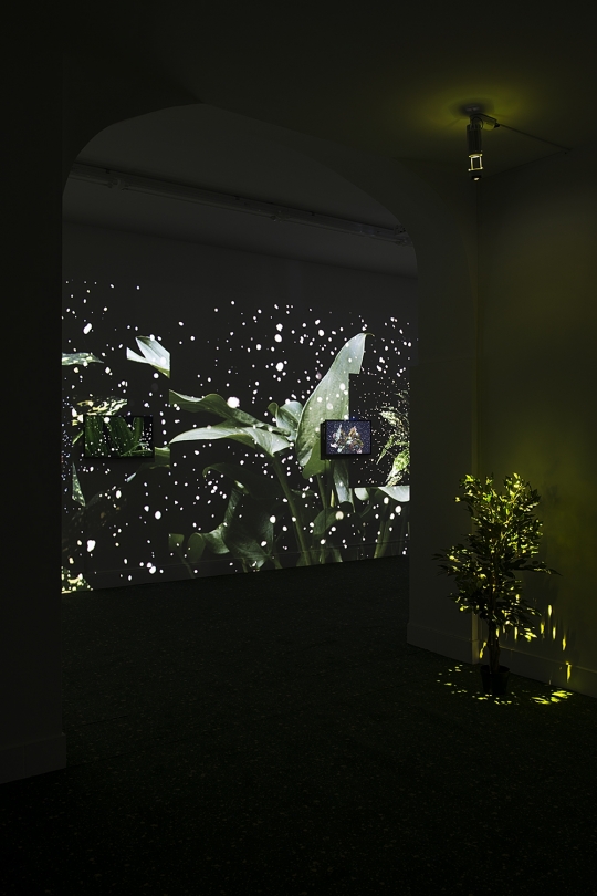 exhibition image