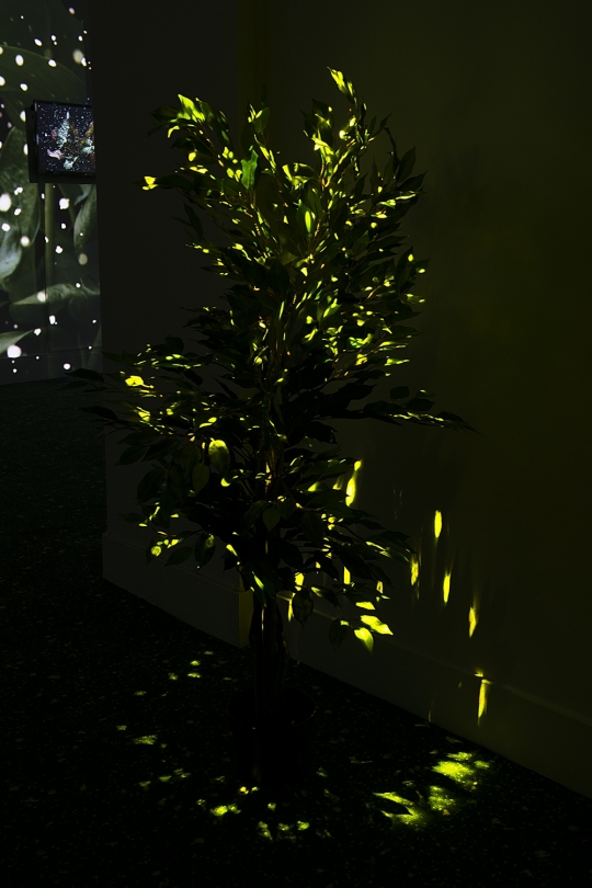 exhibition image