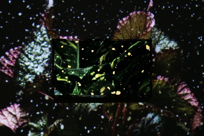 exhibition image