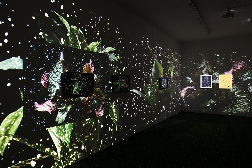 exhibition image