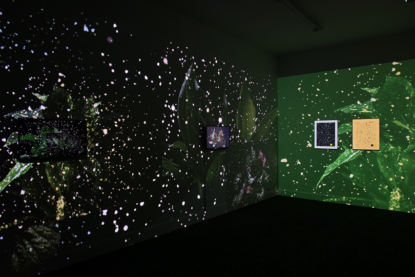 exhibition image