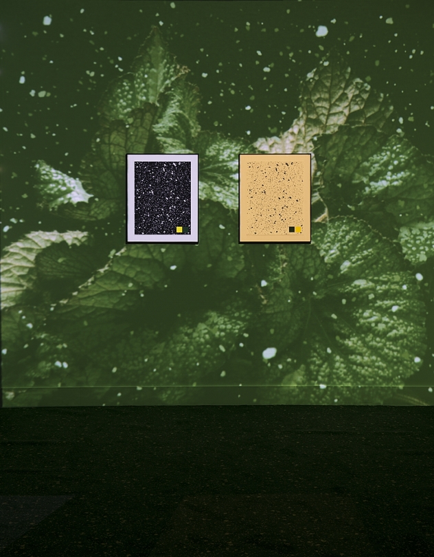 exhibition image