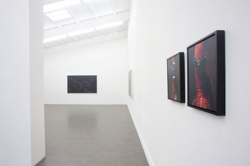 exhibition image