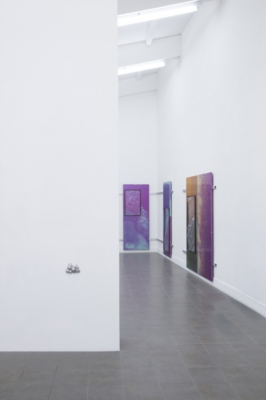 exhibition image