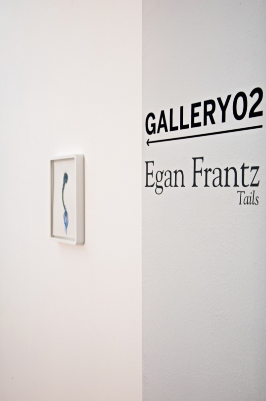 exhibition image