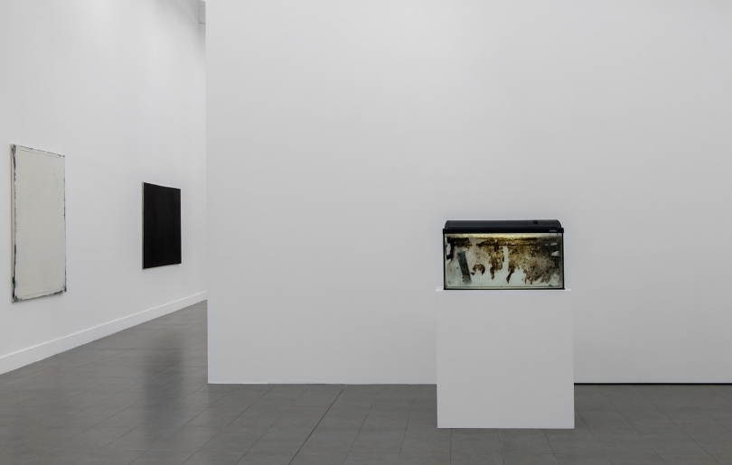 exhibition image